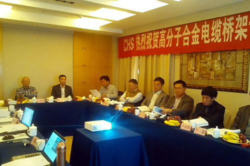 XINGKONG星空体育(中国区)官方网站高分子合金电缆桥架专家论证会在南京召开